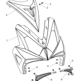 Sachs Speedforce R bis 2012