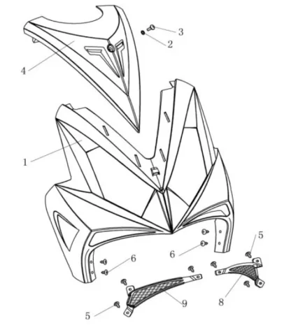 Sachs Speedforce R bis 2012