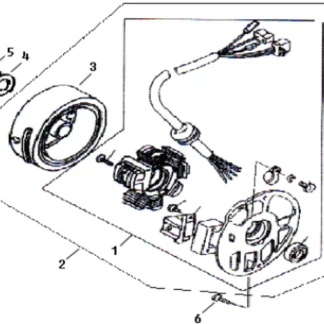 Sachs Eagle 50