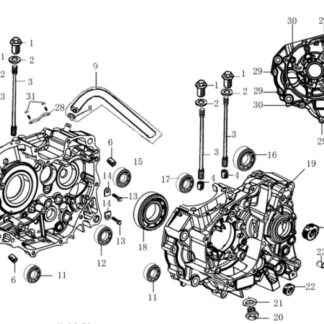 XTC S-125 ab 2015