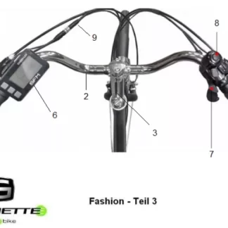 Saxonette Fashion