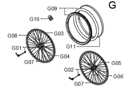 Quantum Sport Wave